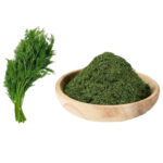 Dried Dill Premium Bulk 7kg (per kg) - Image 3